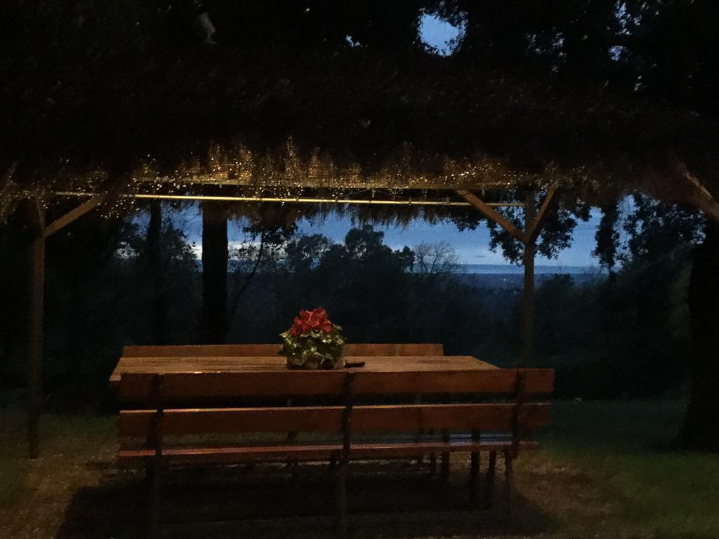 Гостевой дом Agriturismo Colle Donatucci Кастаньето-Кардуччи Экстерьер фото